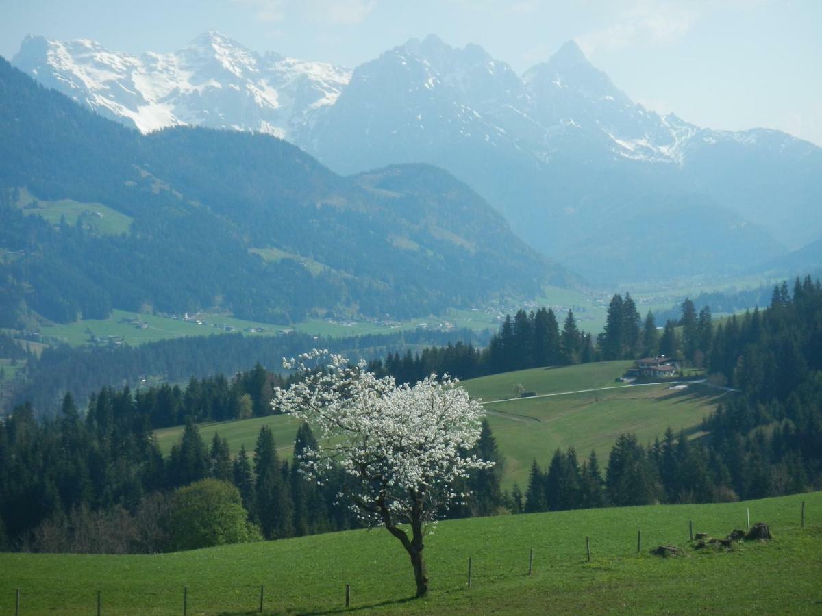 Ferienwohnung Baerfeld Fieberbrunn Bagian luar foto